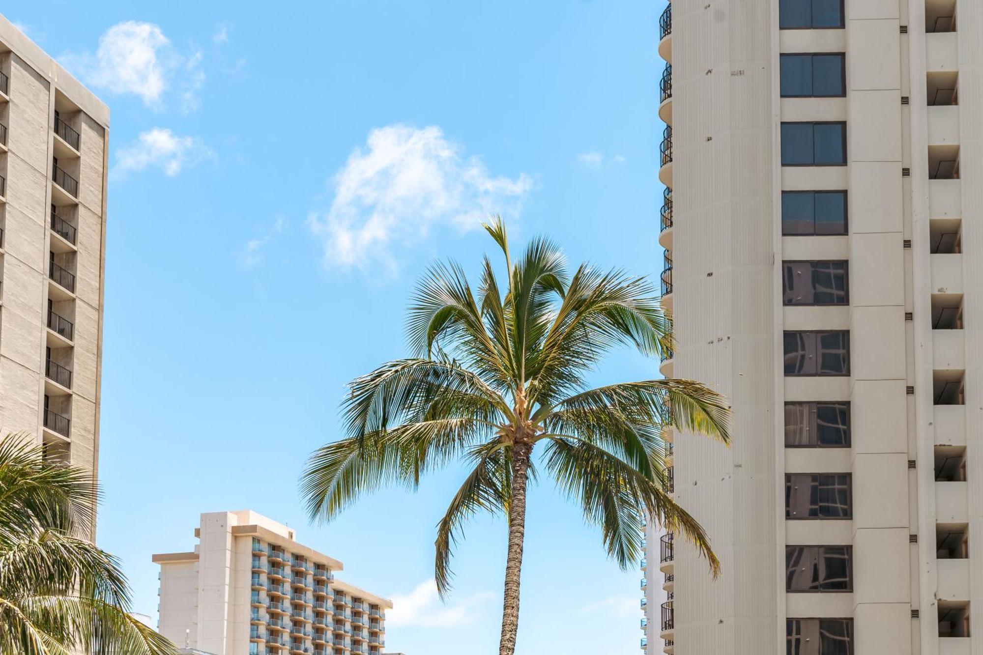 Waikiki Banyan 1Br With Great Ocean Views, Steps To Beach & Parking! Honolulu Eksteriør billede